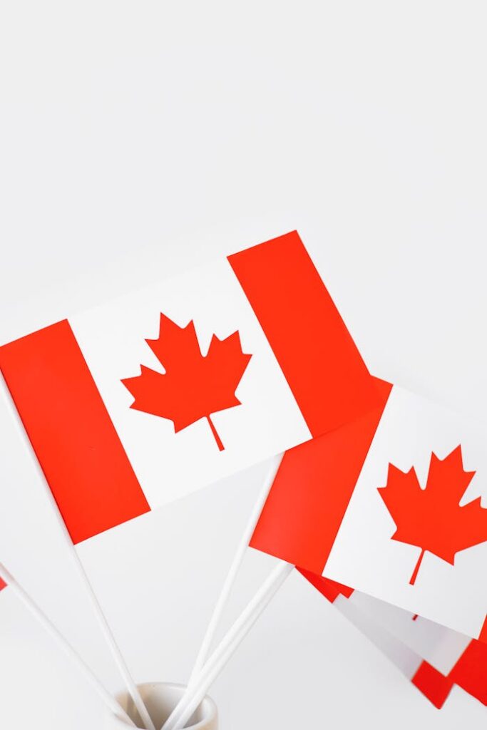 Canadian flags displayed on a white background symbolizing national pride and celebration.